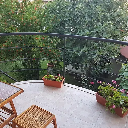 Veselina Maison d'hôtes *