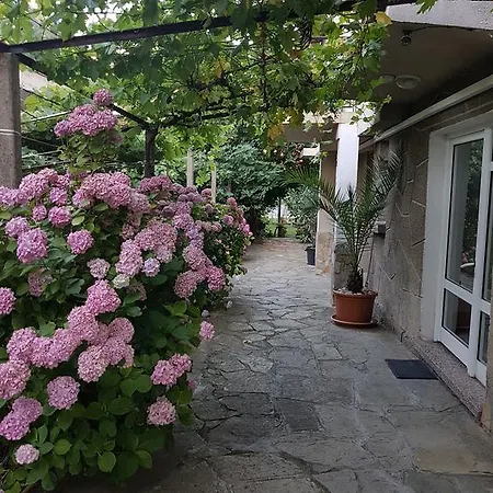 Pensiune Veselina Primorsko