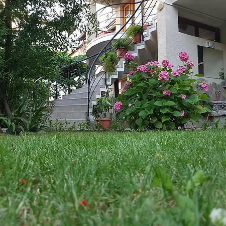 Guest house Veselina
