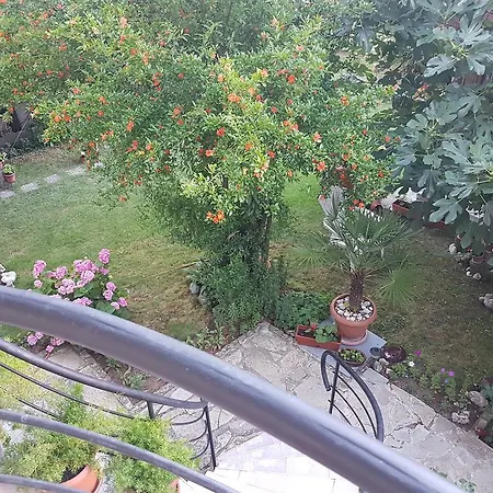 Guest house Veselina 3*