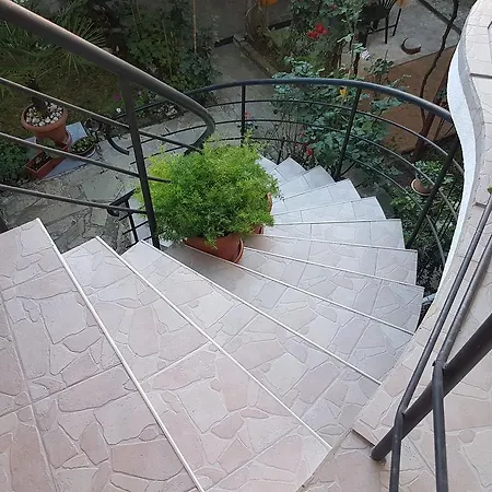Veselina Guest house 3*
