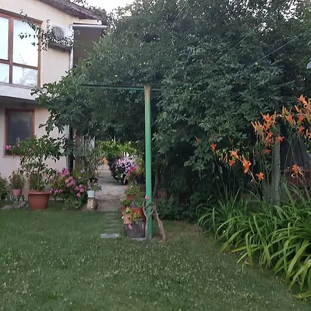 Veselina 普里莫尔斯科