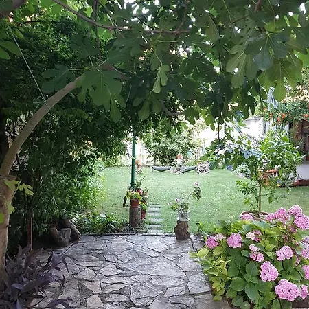 Pensiune Veselina Primorsko