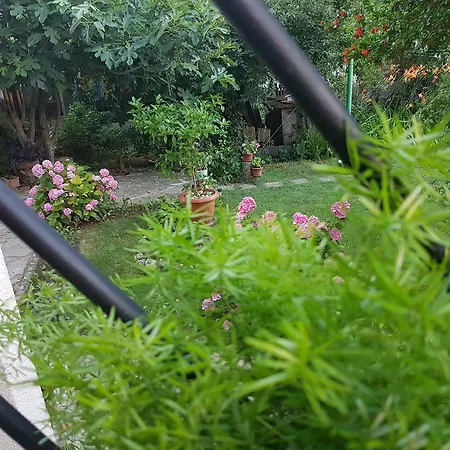 Guest house Veselina