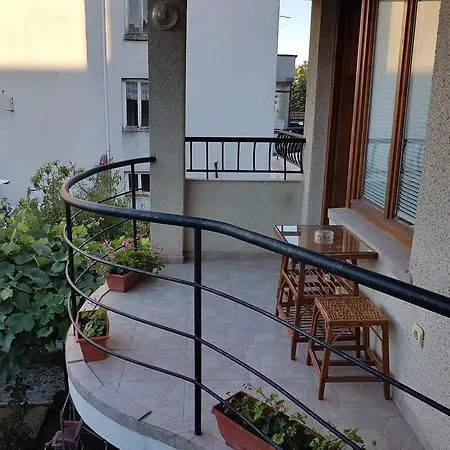 Guest house Veselina 3*
